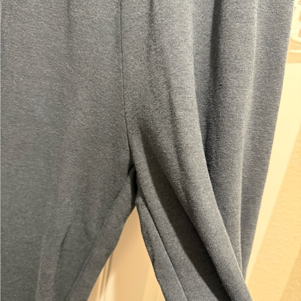 NWOT Aviator Nation Logo Sweatpants- Charcoal - Picture 3 of 5